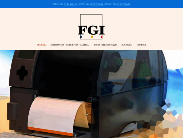 fgi.fr
