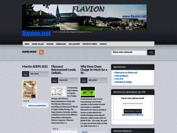 flavion.net