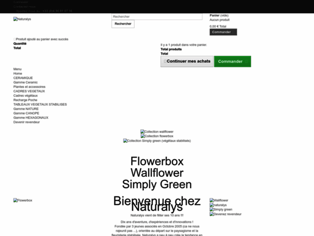 flowerbox-gallery.com