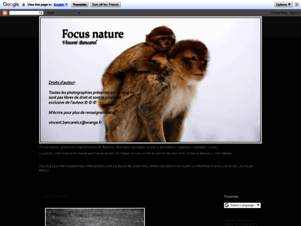 focusnature.blogspot.fr