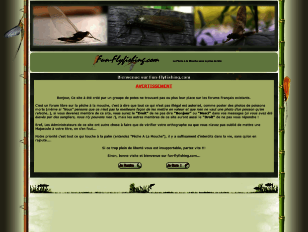 fun-flyfishing.com