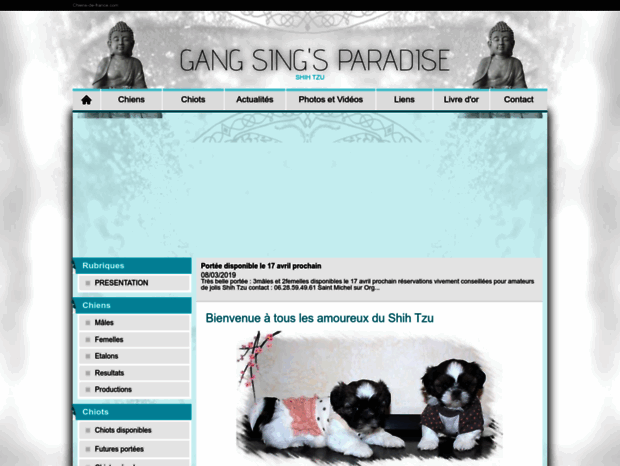 gangsingsparadise.chiens-de-france.com