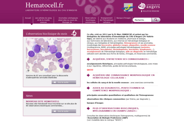 hematocell.univ-angers.fr