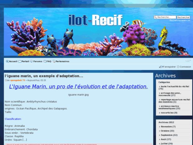 ilot-recif.com