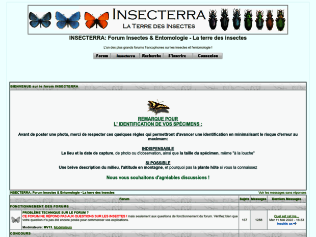 insecterra.forumactif.com