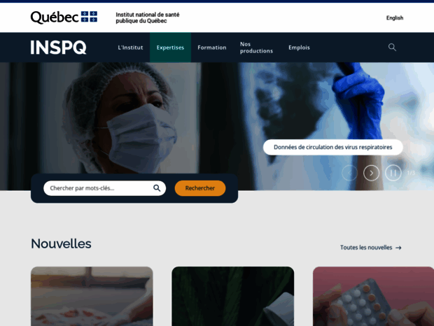 inspq.qc.ca