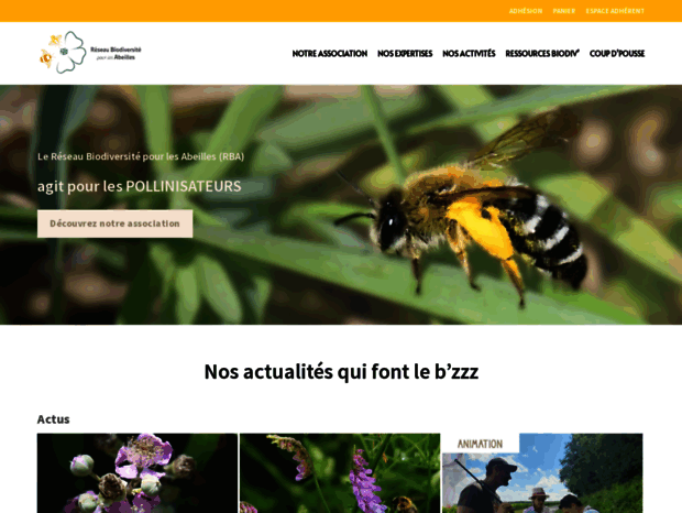 jacheres-apicoles.fr