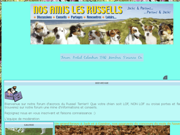 jack-russel-forum.easyforum.fr