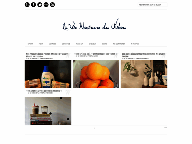 lavienocturneduhibou.blogspot.fr