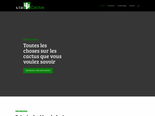 les-cactus.com