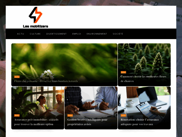 lesmobilizers.com