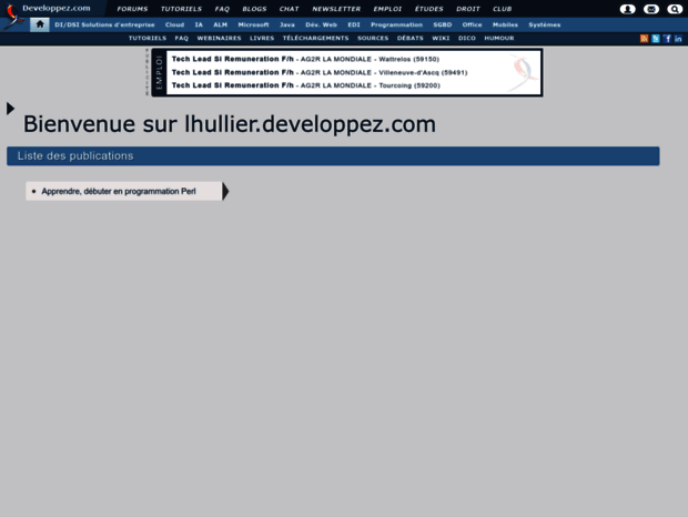 lhullier.developpez.com