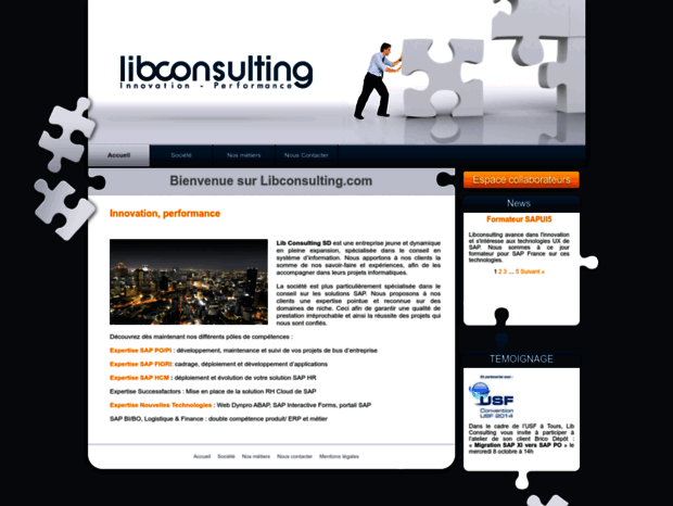 lib-consulting.com