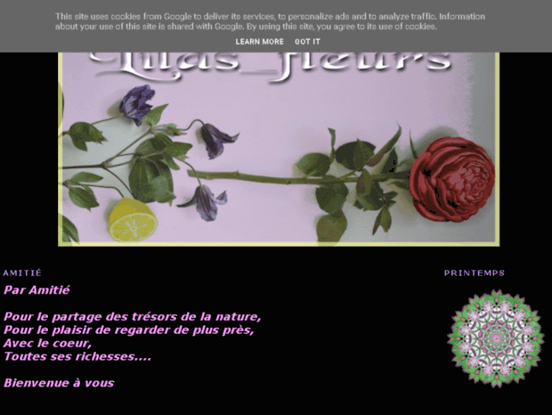 lilas-fleurs.blogspot.fr