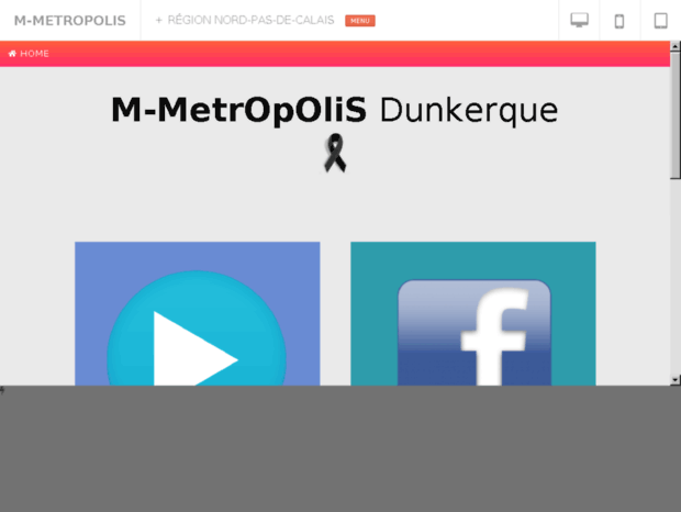 m-metropolis.fr