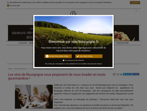 marionsles.vins-bourgogne.fr