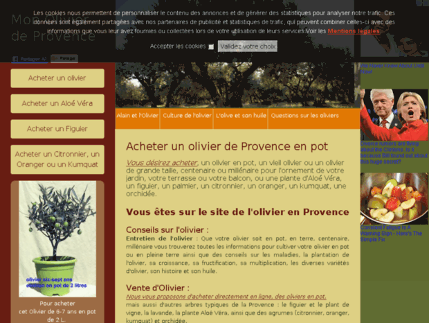mon-olivier-de-provence.com