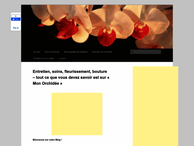 mon-orchidee.com