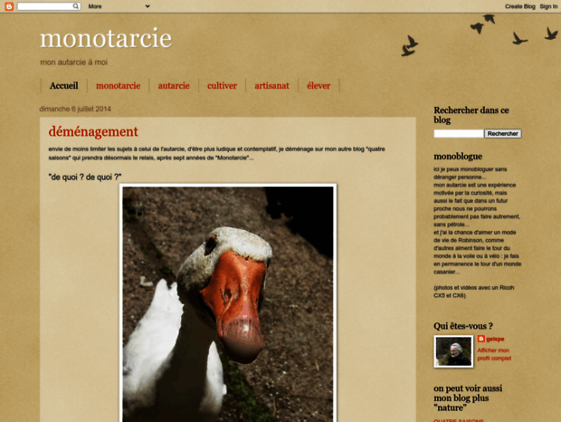 monotarcie.blogspot.com