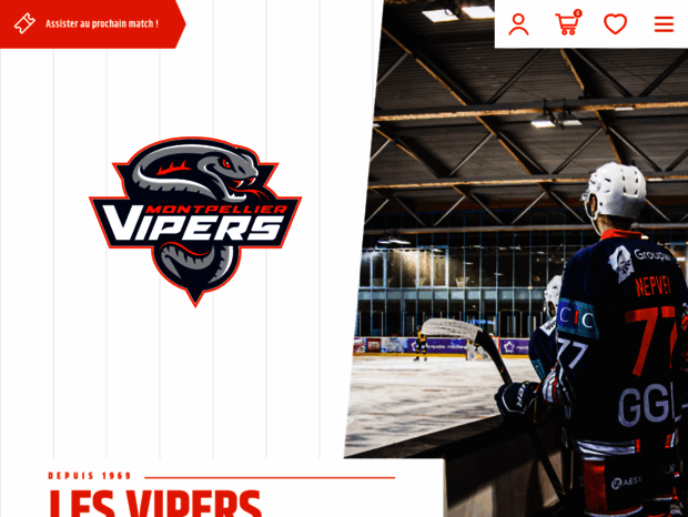 montpellier-vipers.com