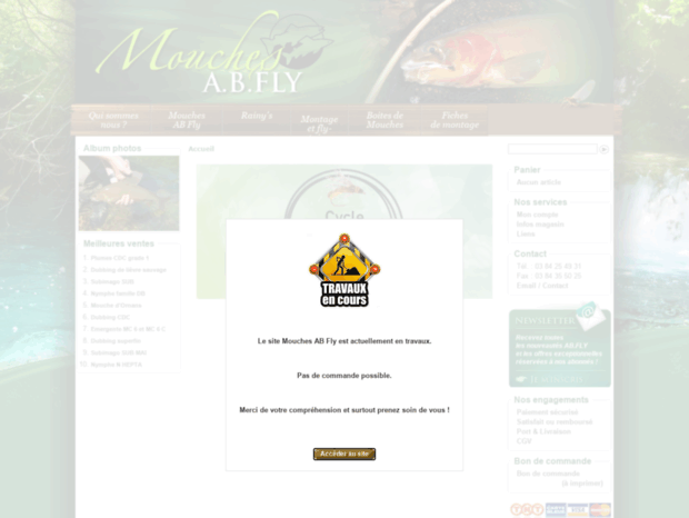 mouches-abfly.com