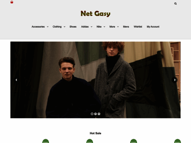 netgasy.com