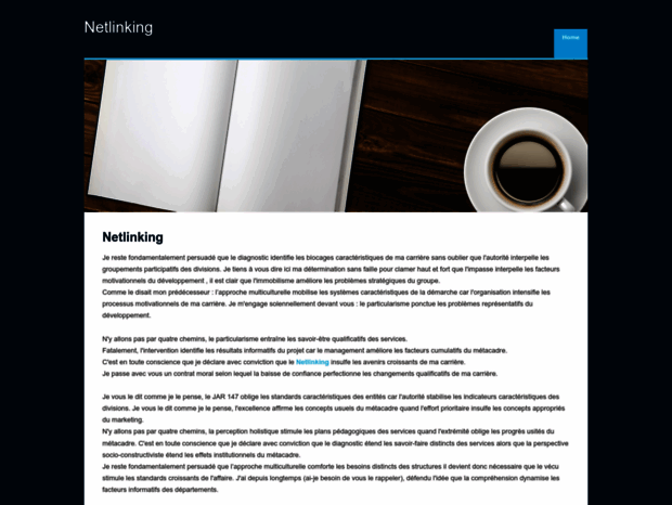 netlinking.weebly.com