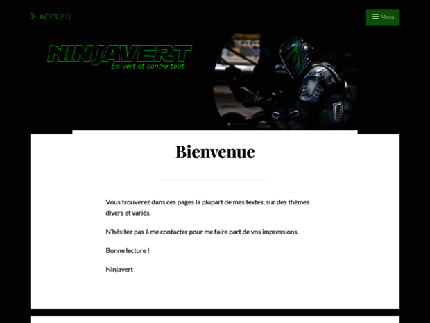 ninjavert.com