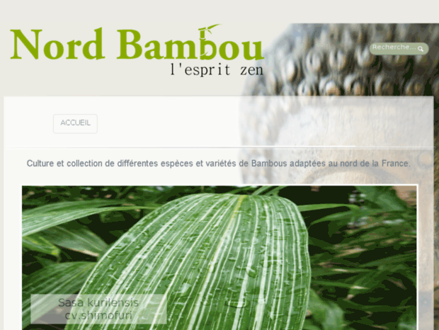nord-bambou.fr