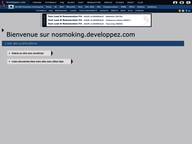 nosmoking.developpez.com