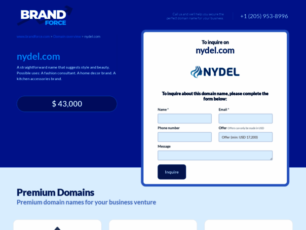 nydel.com