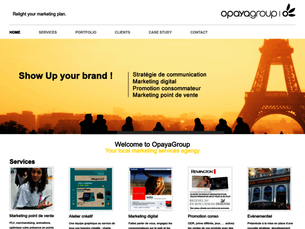 opayagroup.com