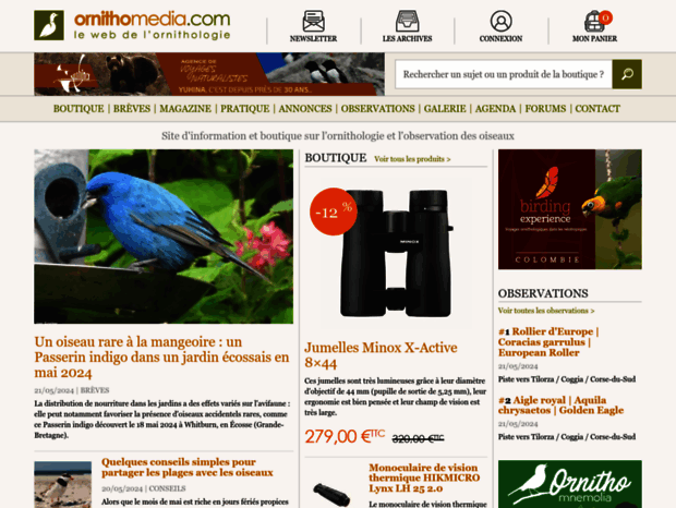 ornithomedia.com