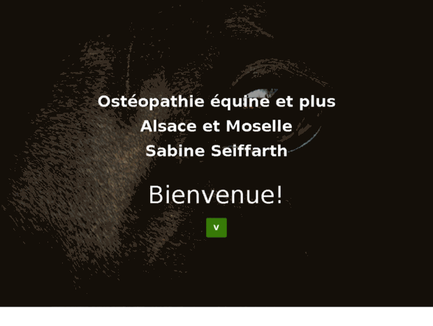 osteopathe-equin.biz