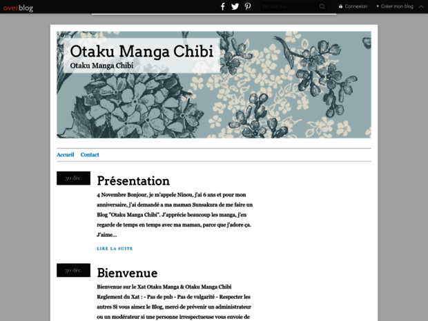 otaku-manga-chibi.over-blog.com