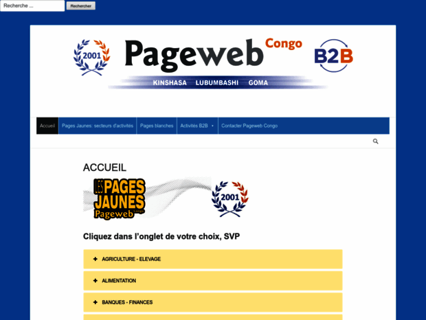 pagewebcongo.com