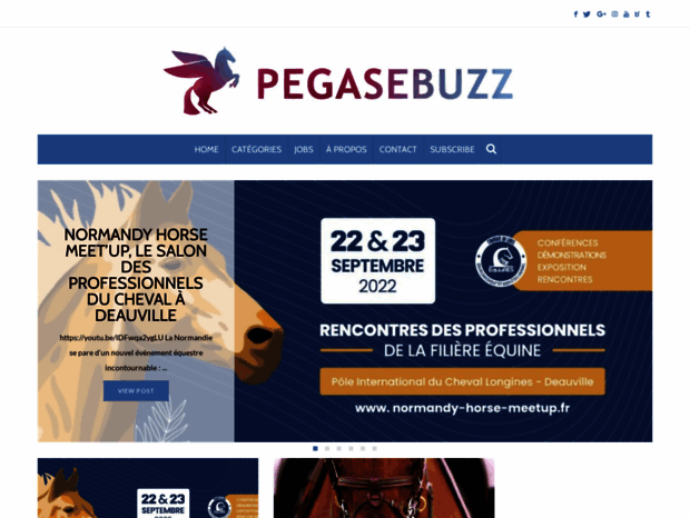 pegasebuzz.com