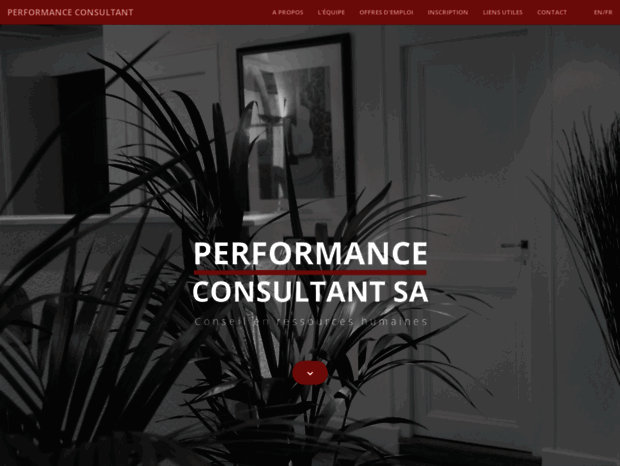 performance-consultant.ch