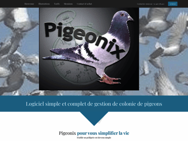 pigeonix.com