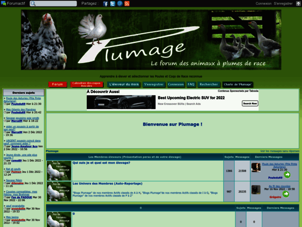 plumage.forum-actif.net