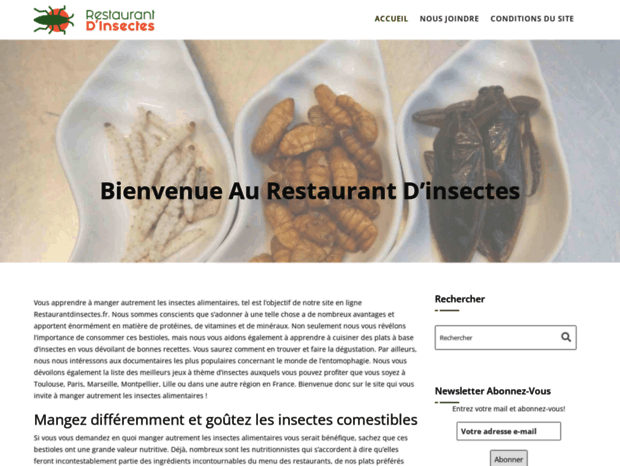 restaurantdinsectes.fr