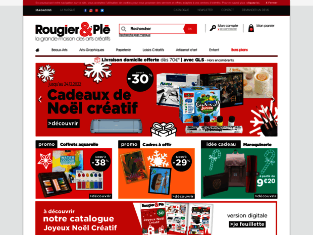 rougier-ple.com