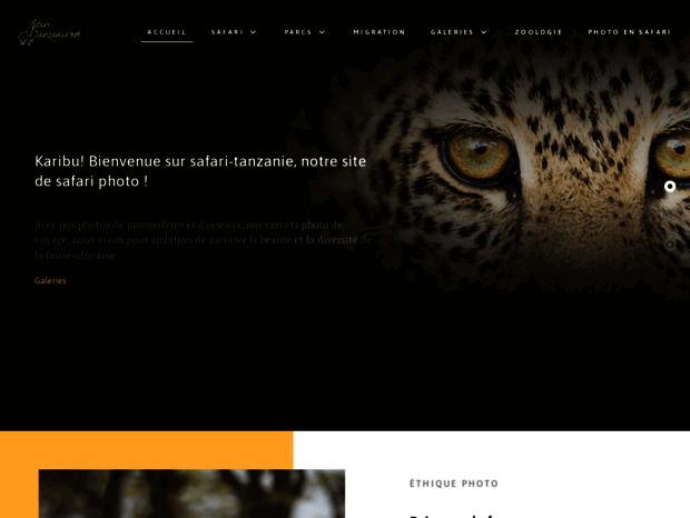 safari-tanzanie.net