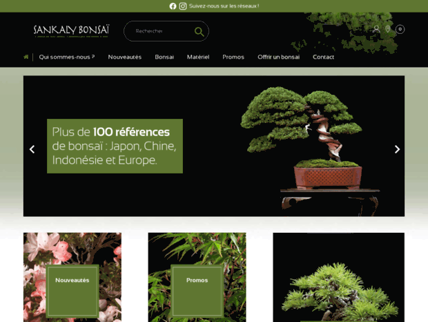 sankaly-bonsai.com