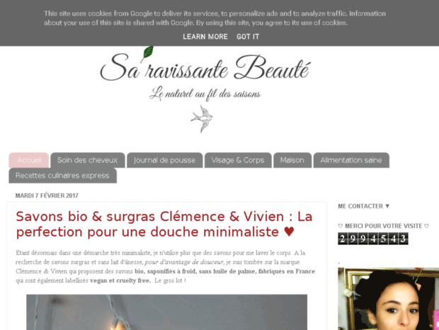 saravissantebeaute.blogspot.fr