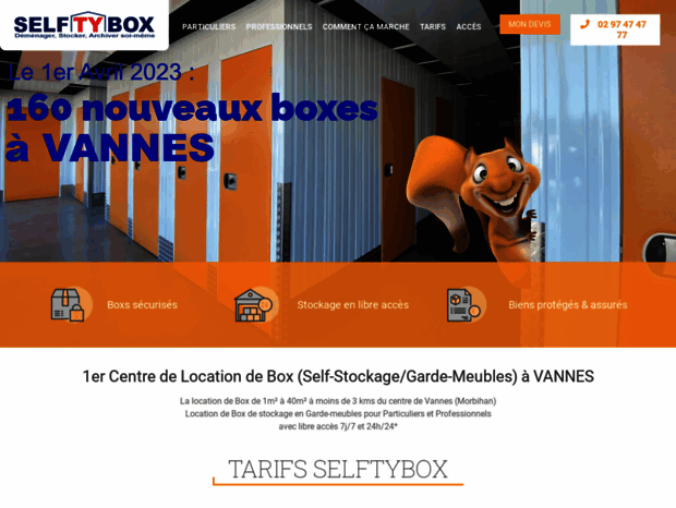 selftybox.com