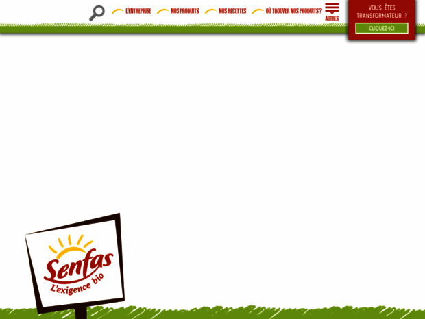 senfas.com