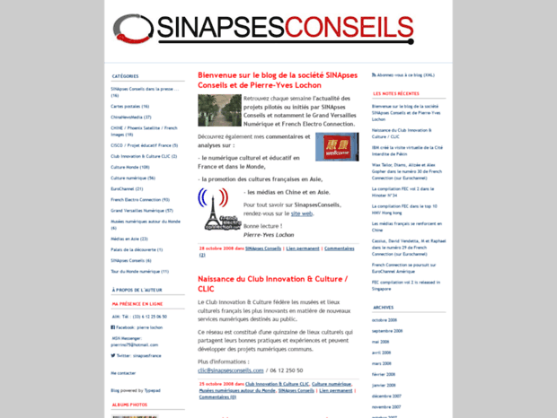 sinapsesconseils.typepad.com