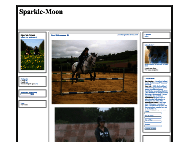 sparkle-moon.cowblog.fr
