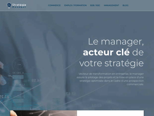 strategie-manager.fr